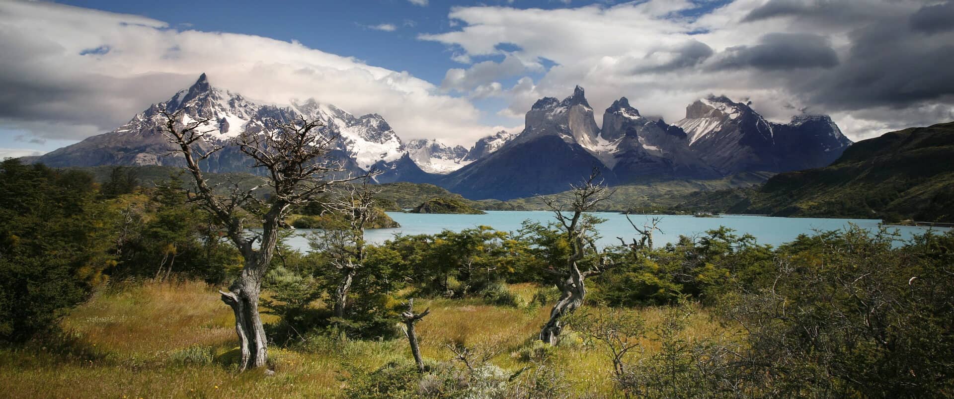 公式オンライン Patagonia ナイロンジャケット