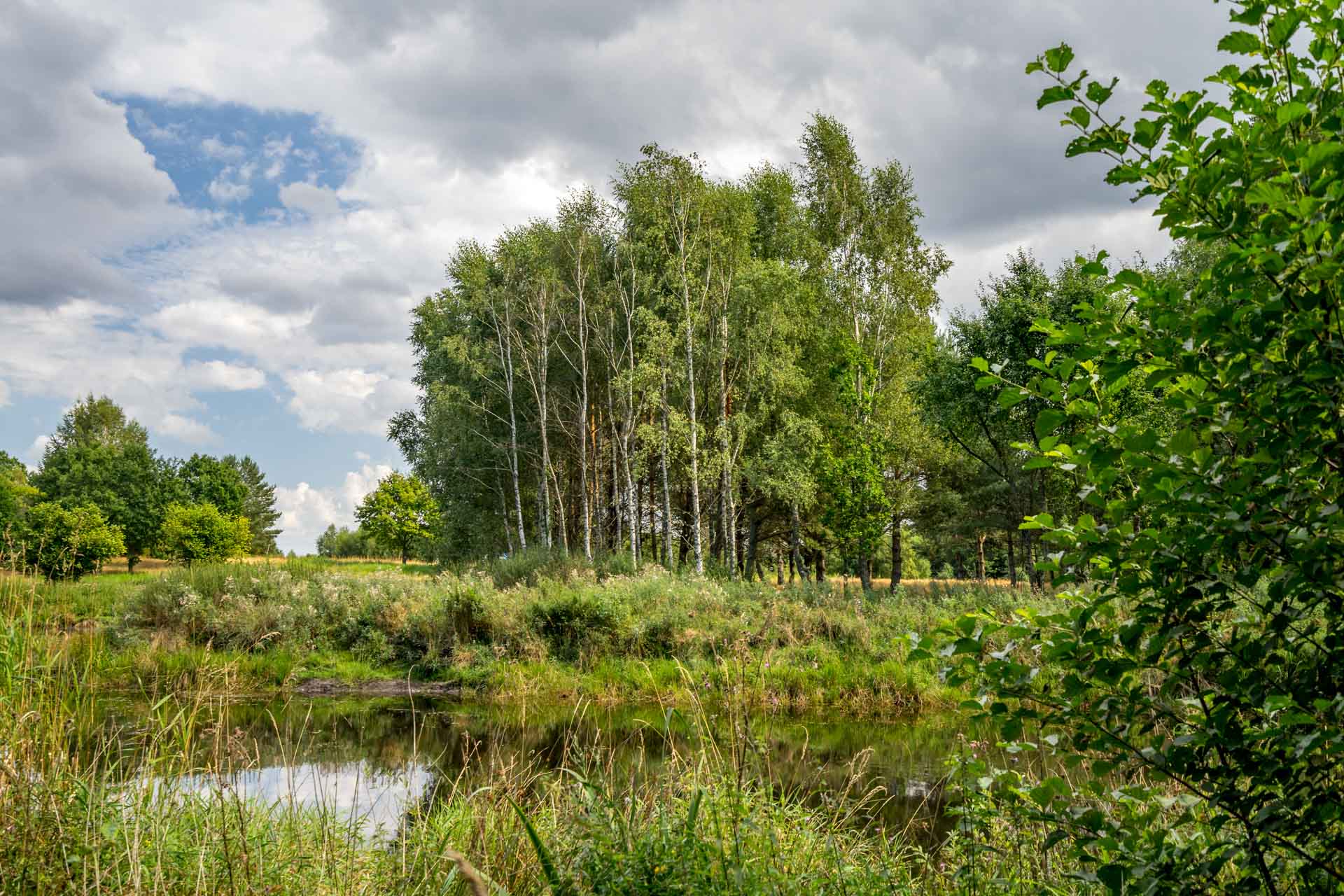 Glamping Salinko - okolica ze stawem