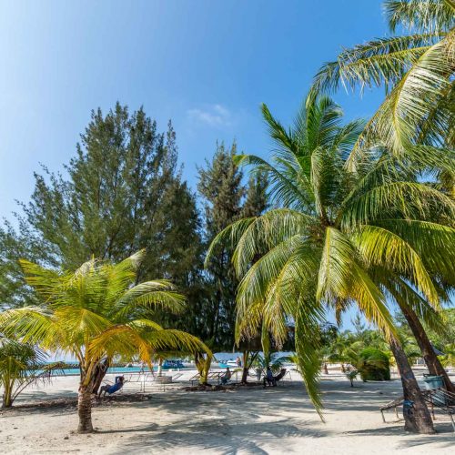Malediwy - rajska plaża z palmami