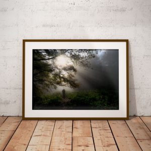 Plakat mglisty las w Bieszczadach