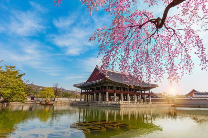 Korea Południowa i wyspa Jeju – zgiełk miast i piękno natury