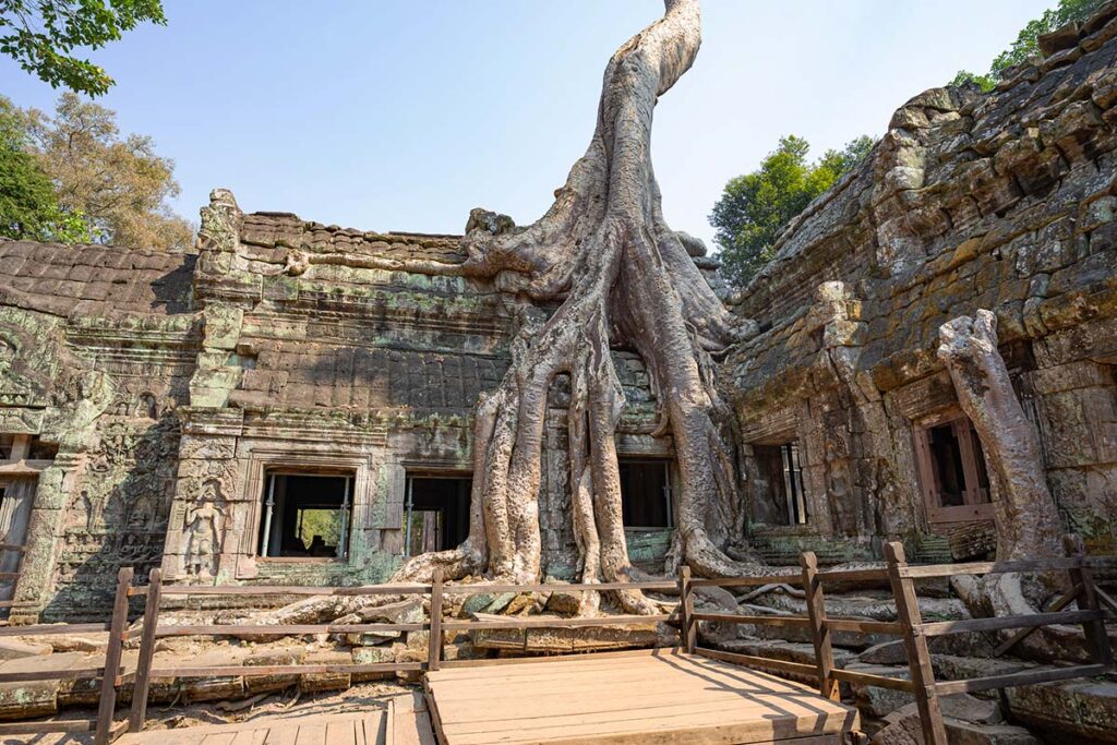 Kambodża - Ta Prohm Kambodża - Ta Prohm