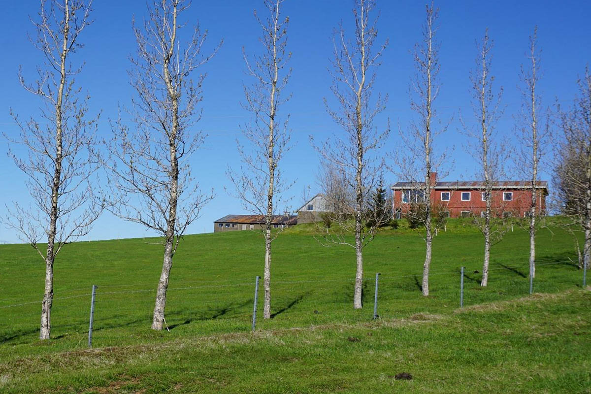 Nocleg na Islandii - Guesthouse Denami